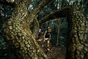 BIB: 
                            <button type="button" onclick="openModal(25701254)" class="btn btn-primary btn-sm float-right btn-popup" data-toggle="modal" data-target=".modal-high-quality">
                        <i class="fas fa-shopping-cart"></i> Add to Cart
                    </button>
                                            <button type="button" onclick="isThisMe(25701254, true)" class="btn btn-success btn-sm float-right btn-popup btn-isme hidden" data-toggle="tooltip" data-placement="bottom" title="นี่คือรูปของคุณใช่ไหม คลิกที่นี่เพื่อเอาเข้าอัลบั้ม">
                        <i class="fas fa-plus"></i> Add to album
                    </button>
                    <button type="button" onclick="isThisMe(25701254, false)" class="btn btn-warning btn-sm float-right btn-popup btn-isnotme hidden">
                        <i class="fas fa-ban"></i> Remove from album
                    </button>